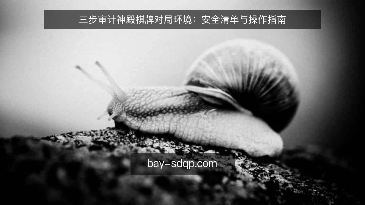 三步审计神殿棋牌对局环境：安全清单与操作指南